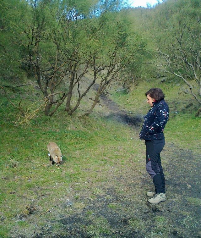 Etna Glob&B Hiking Цафферана-Етнеа Екстер'єр фото